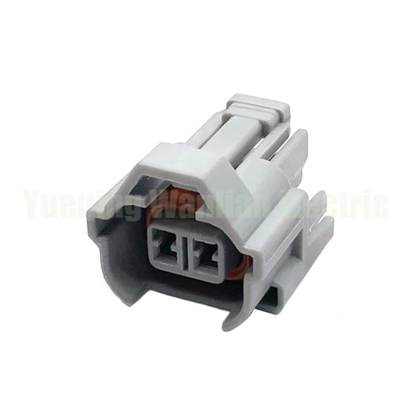 6189-0060 2pins Autoverbinding Auto Vrouwelijke brandstofinjectorverbinding