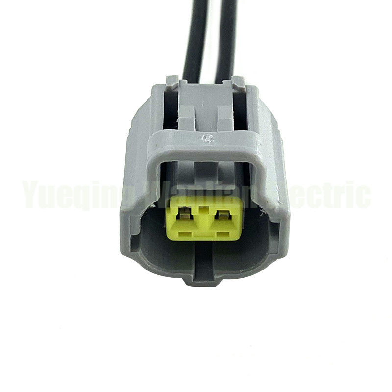 2 Pin 184006-1 178392-4 90980-10737 automatische waterdichte connector stekker koelmiddel Temperatuur sensor Socket Connector